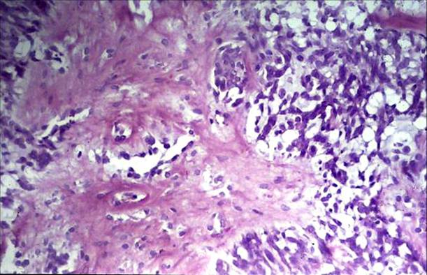 Eurocytology